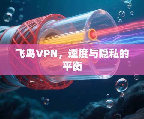 飞鸟VPN,速度与隐私的平衡 飞鸟VPN,速度与隐私的平衡