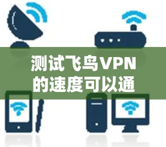 测试飞鸟VPN的速度可以通过以下步骤进行 测试飞鸟VPN的速度可以通过以下步骤进行