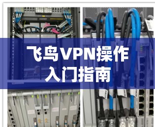 飞鸟VPN操作入门指南 飞鸟VPN操作入门指南
