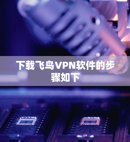 下载飞鸟VPN软件的步骤如下 下载飞鸟VPN软件的步骤如下