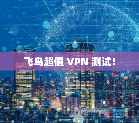 飞鸟超值 VPN 测试! 飞鸟超值 VPN 测试!