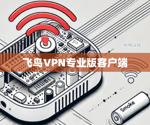 飞鸟VPN专业版客户端 飞鸟VPN专业版客户端