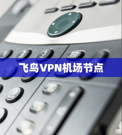 飞鸟VPN机场节点 飞鸟VPN机场节点