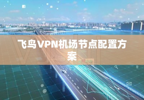 飞鸟VPN机场节点配置方案 飞鸟VPN机场节点配置方案