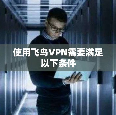 使用飞鸟VPN需要满足以下条件 使用飞鸟VPN需要满足以下条件