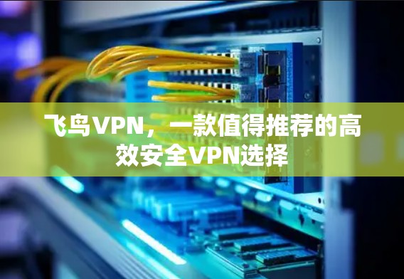 飞鸟VPN,一款值得推荐的高效安全VPN选择 飞鸟VPN,一款值得推荐的高效安全VPN选择