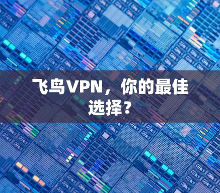 飞鸟VPN，你的最佳选择？