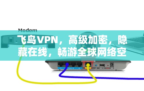 飞鸟VPN,高级加密,隐藏在线,畅游全球网络空间 飞鸟VPN,高级加密,隐藏在线,畅游全球网络空间