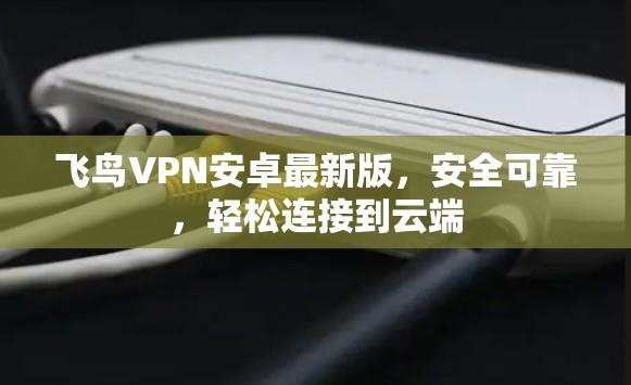 飞鸟VPN安卓最新版,安全可靠,轻松连接到云端 飞鸟VPN安卓最新版,安全可靠,轻松连接到云端