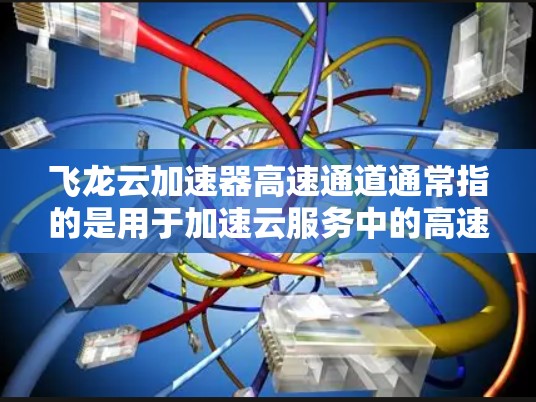飞龙云加速器高速通道通常指的是用于加速云服务中的高速数据传输或文件处理的加速器。飞龙云加速器是一种专门用于提升数据传输速度和处理效率的云加速技术,支持多种设备和应用场景 飞龙云加速器高速通道通常指的是用于加速云服务中的高速数据传输或文件处理的加速器。飞龙云加速器是一种专门用于提升数据传输速度和处理效率的云加速技术,支持多种设备和应用场景