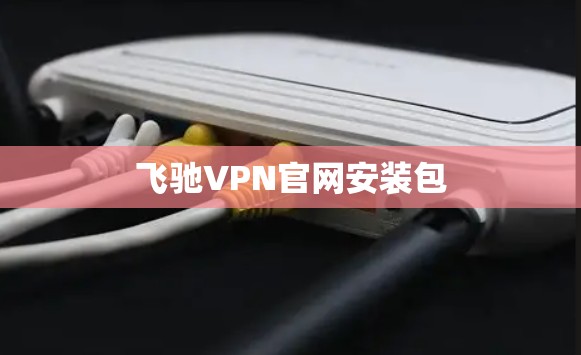 飞驰VPN官网安装包 飞驰VPN官网安装包