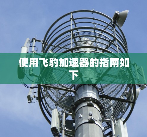 使用飞豹加速器的指南如下 使用飞豹加速器的指南如下