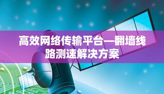 高效网络传输平台—翻墙线路测速解决方案 高效网络传输平台—翻墙线路测速解决方案