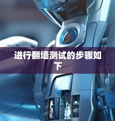 进行翻墙测试的步骤如下