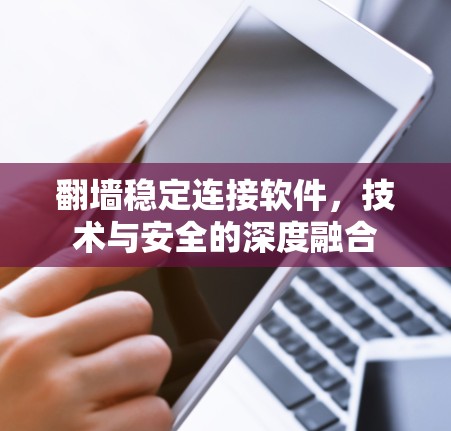 翻墙稳定连接软件,技术与安全的深度融合 翻墙稳定连接软件,技术与安全的深度融合