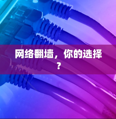 网络翻墙,你的选择? 网络翻墙,你的选择?