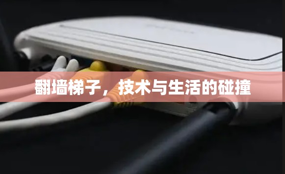 翻墙梯子,技术与生活的碰撞 翻墙梯子,技术与生活的碰撞