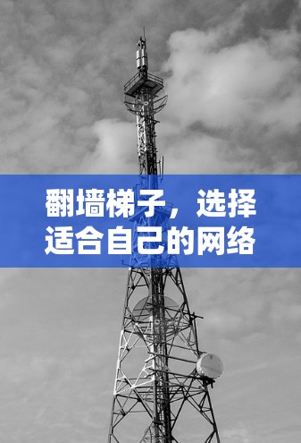 翻墙梯子,选择适合自己的网络架构 翻墙梯子,选择适合自己的网络架构