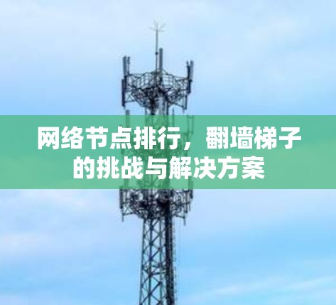 网络节点排行,翻墙梯子的挑战与解决方案 网络节点排行,翻墙梯子的挑战与解决方案