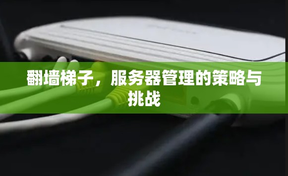 翻墙梯子,服务器管理的策略与挑战 翻墙梯子,服务器管理的策略与挑战