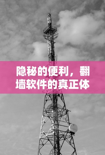 隐秘的便利,翻墙软件的真正体验 隐秘的便利,翻墙软件的真正体验