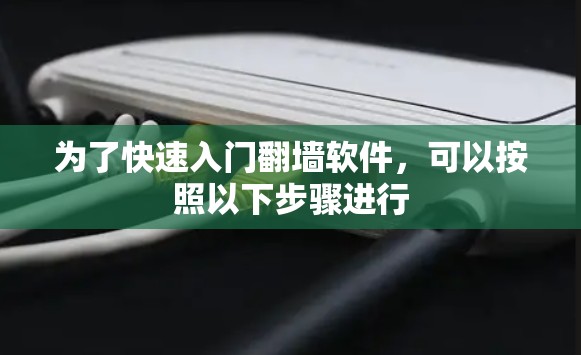 为了快速入门翻墙软件,可以按照以下步骤进行 为了快速入门翻墙软件,可以按照以下步骤进行