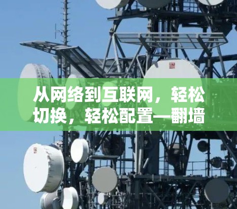 从网络到互联网,轻松切换,轻松配置—翻墙软件使用说明 从网络到互联网,轻松切换,轻松配置—翻墙软件使用说明