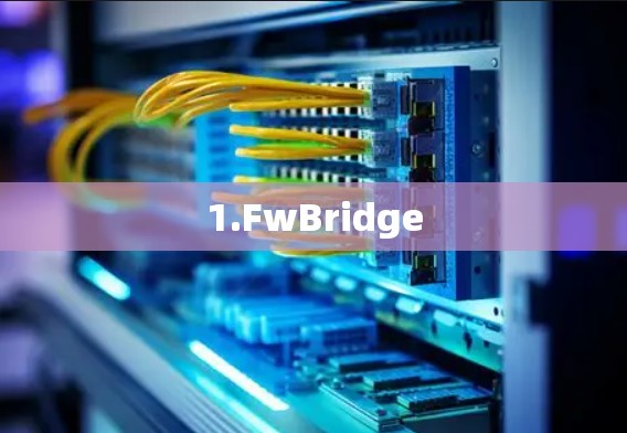 1.FwBridge 1.FwBridge