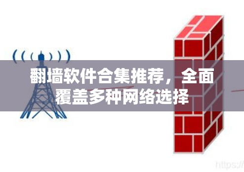 翻墙软件合集推荐,全面覆盖多种网络选择 翻墙软件合集推荐,全面覆盖多种网络选择