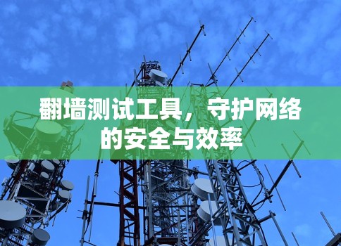 翻墙测试工具,守护网络的安全与效率 翻墙测试工具,守护网络的安全与效率