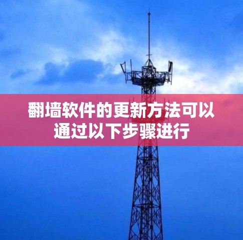 翻墙软件的更新方法可以通过以下步骤进行