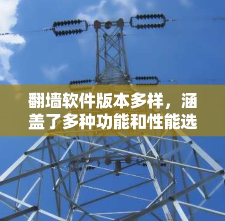 翻墙软件版本多样,涵盖了多种功能和性能选项。以下是它们的主要特点和版本范围 翻墙软件版本多样,涵盖了多种功能和性能选项。以下是它们的主要特点和版本范围