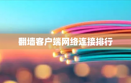 翻墙客户端网络连接排行 翻墙客户端网络连接排行
