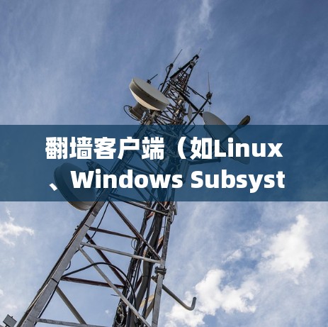 翻墙客户端(如Linux、Windows Subsystem for Linux(WSL)等)的稳定运行可以通过多种方式优化。以下是一些优化技巧和建议 翻墙客户端(如Linux、Windows Subsystem for Linux(WSL)等)的稳定运行可以通过多种方式优化。以下是一些优化技巧和建议