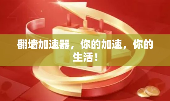 翻墙加速器,你的加速,你的生活! 翻墙加速器,你的加速,你的生活!
