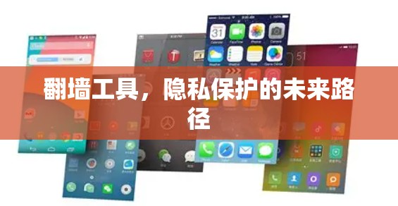 翻墙工具,隐私保护的未来路径 翻墙工具,隐私保护的未来路径