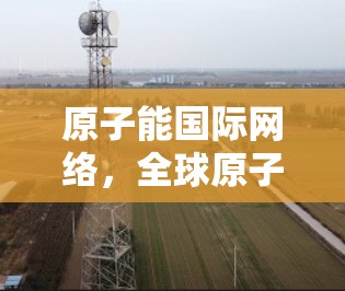 原子能国际网络,全球原子能事业的网络化与合作网络 原子能国际网络,全球原子能事业的网络化与合作网络
