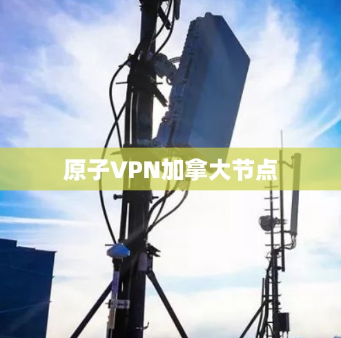 原子VPN加拿大节点 原子VPN加拿大节点