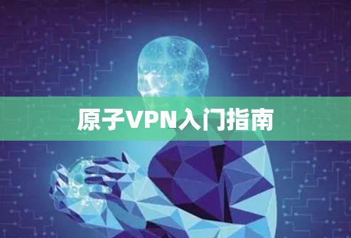 原子VPN入门指南 原子VPN入门指南