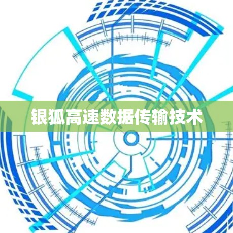 银狐高速数据传输技术 银狐高速数据传输技术