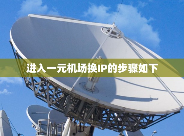 进入一元机场换IP的步骤如下