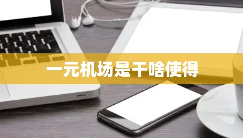 一元机场是干啥使得 一元机场是干啥使得