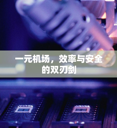 一元机场，效率与安全的双刃剑