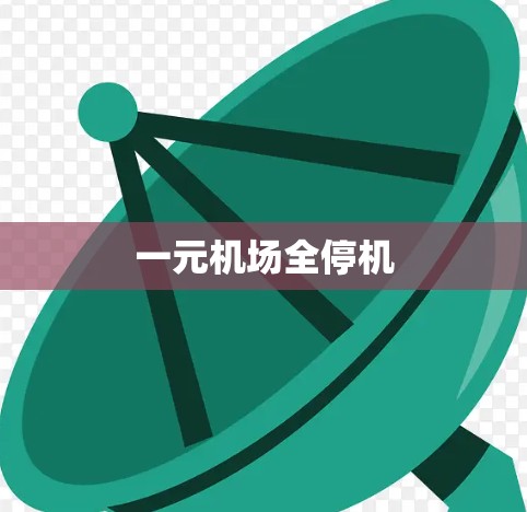 一元机场全停机 一元机场全停机