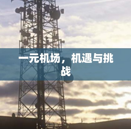 一元机场,机遇与挑战 一元机场,机遇与挑战