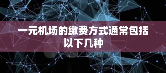 一元机场的缴费方式通常包括以下几种