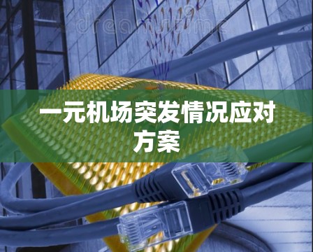 一元机场突发情况应对方案 一元机场突发情况应对方案