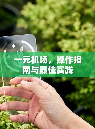 一元机场,操作指南与最佳实践 一元机场,操作指南与最佳实践