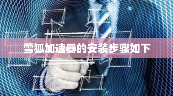 雪狐加速器的安装步骤如下 雪狐加速器的安装步骤如下